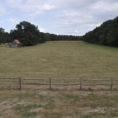 B&B De Paenhoeve Eksel Exteriér fotografie