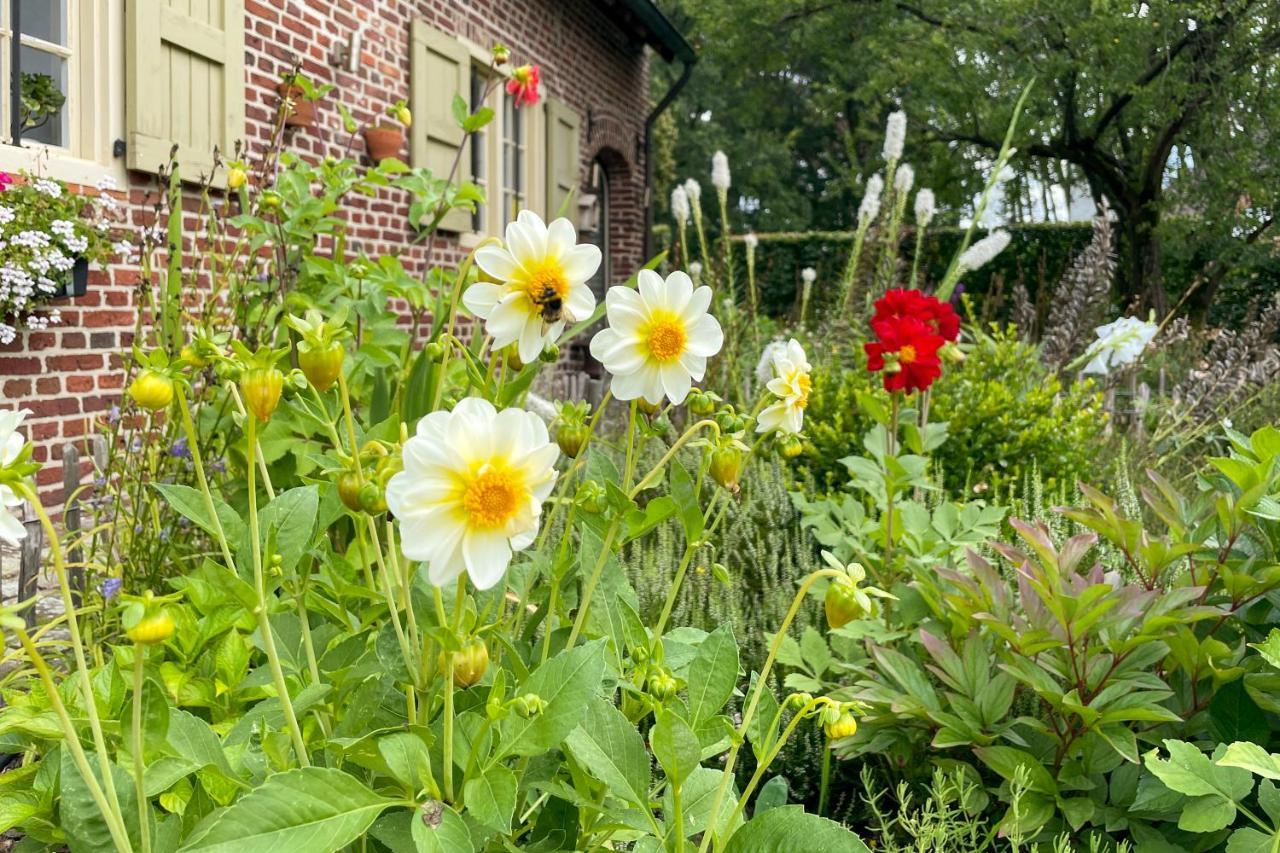 B&B De Paenhoeve Eksel Exteriér fotografie